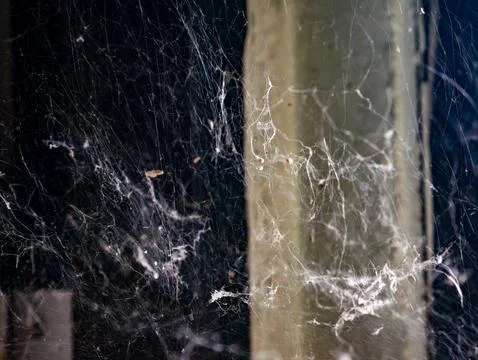 Old Dusty Spider Web in Corner with Cobwebs Foto stock