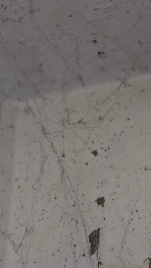 Old dusty spider webs hanging in the corner of ceiling Stock Footage 332982187