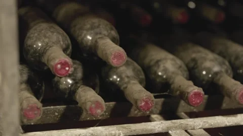 Old dusty wine bottles aging in cellar Stock Footage 339783919