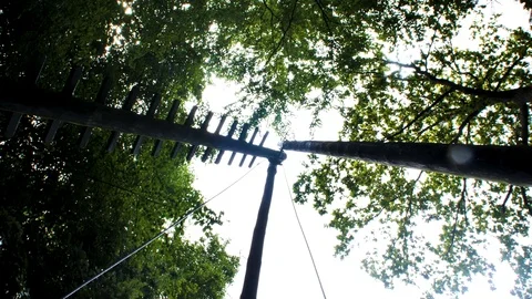 Old electricity pylon, bottom-up green trees Stock Footage 127366463