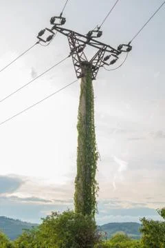 Old electricity pylon Stock Photos
