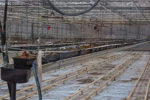 Old empty greenhouse Stock Photos