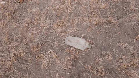 An old empty plastic bottle on a parched land are a symbol of the climate Stock Footage 235003062