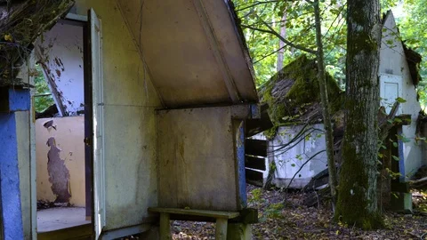 Old empty ruins of a house in the forest Stock-Footage 94432768