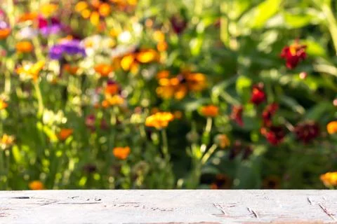 Old empty table top against abstract blur floral background in sunny summer d Stock Photos