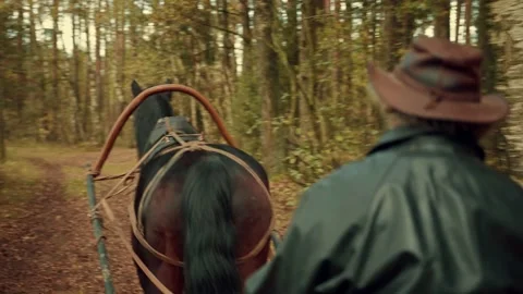 An old equestrian slowly drives through a forest In an old-time authentic squeak Stock Footage 143474481