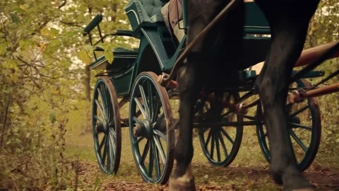 An old equestrian slowly drives through a forest In an old-time authentic squeak Vídeos de archivo 143474587