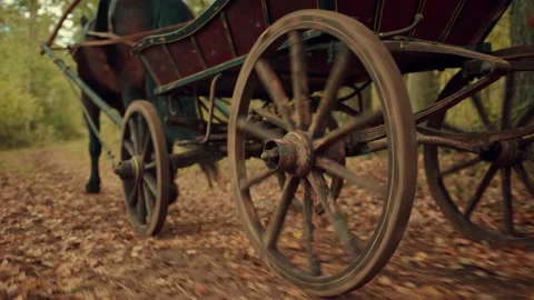 An old equestrian slowly drives through a forest In an old-time authentic squeak Vídeos de archivo 143474714