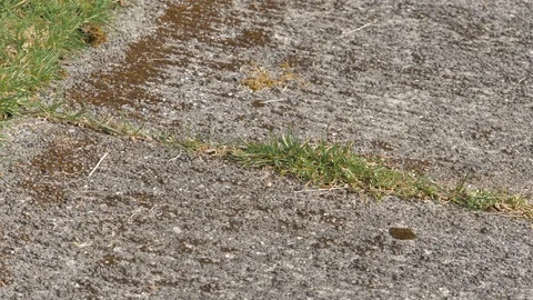 Old Eroded Side Walk Vídeos de archivo 127039207