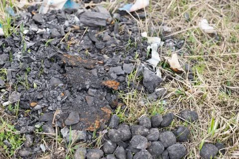 Old extinct bonfire. Danger of forest fire Foto stock