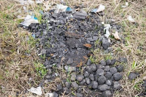 Old extinct bonfire. Danger of forest fire Stock-Fotos