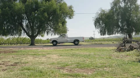 Old F-250 Driving Down Road with Vineyards in Background 스톡 동영상 235714635