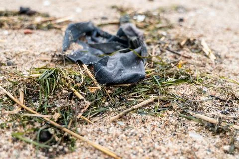 Old fabric washed ashore on sandy beach with seaweed and shells, textile wa.. Stock Photos