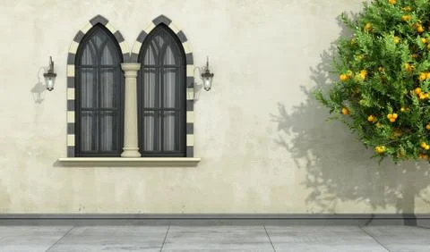Old facade with mullioned gothic window Stock Illustration