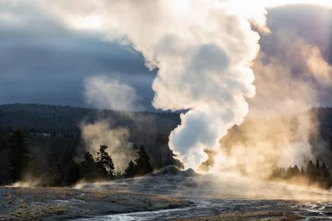 Old Faithful, Yellowstone exploding hot smoke before eruption in morning. Stock Photos