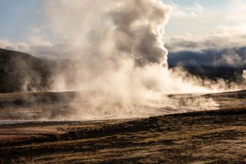 Old Faithful, Yellowstone exploding hot smoke before eruption in morning. Stock Photos