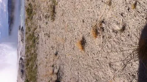 Old faithfull Stock Footage 10901532