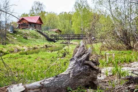 Old fallen tree with crooked branches Stock Photos