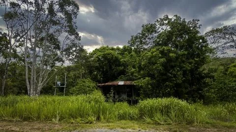 Old Falling Down Bush Hut In The Country Stock Photos