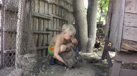 On an old farm boy with a big gray rabbit. Stock-Footage 65730389