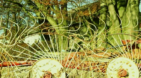 Old farm. Stock Footage 44434796