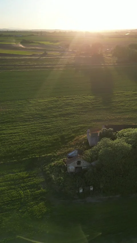 Old Farm in green field Stock Footage 280262963