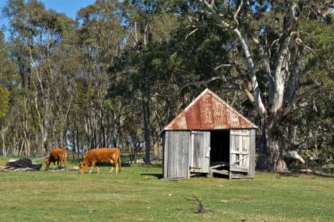 Old farm Stock Photos