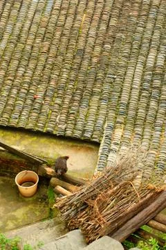 Old farm. Stock Photos