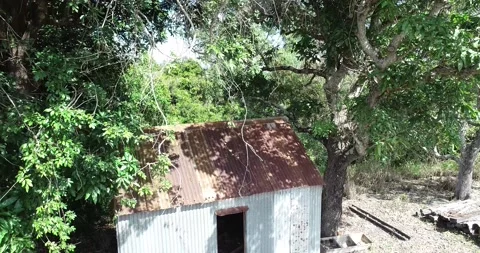 OLD FARM SHED Stock Footage 163970822