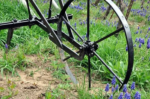 Old farm tool Stock Photos