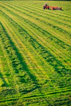 Old farm tractor in a field. Stock Photos