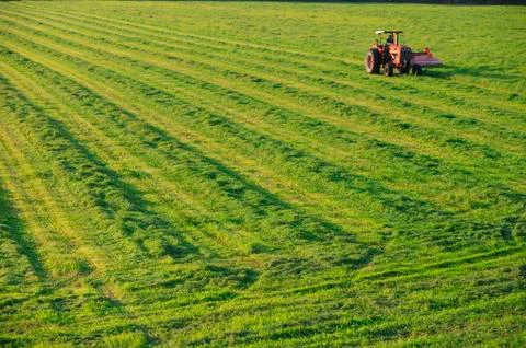Old farm tractor in a field. Stock Photos