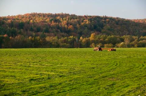 Old farm tractor in a field. Stock Photos