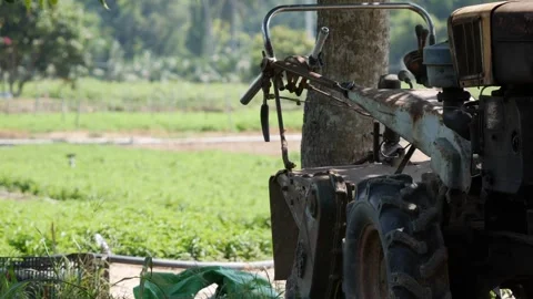 An old farm tractor stands by the edge of a green field near a tree, with countr Видео 338001813