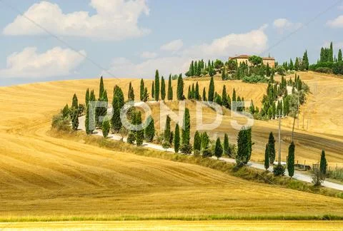 Old farm in val d'orcia (tuscany) Stock Photos