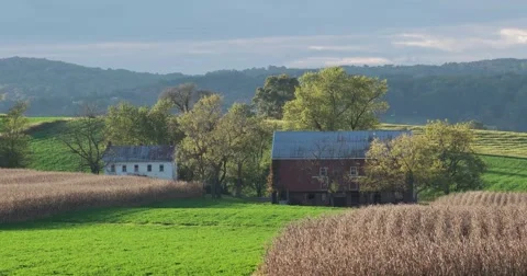 Old Farm in Valley with Corn Fields, static shot 库存影片 66910410