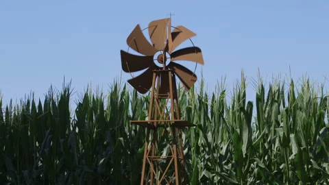 Old farm windmill with corn crops Stock Footage 137620320