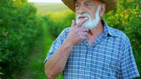 An old farmer with a gray beard standing in the open air. Gardener overlooks the Stock Footage 77998712