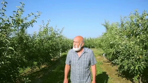 An old farmer with a gray beard who walks in the garden Stock Footage
