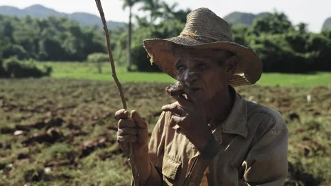 Old farmer man wearing a hat smoking a traditional cigar in Cuba Stock Footage 308637770
