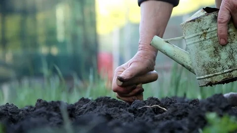 Old farmer planting seeds Stock Footage