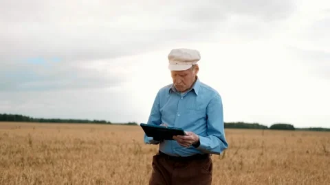 Old farmer using digital tablet. Smart farming. Farming technologies. Video stock 169702350