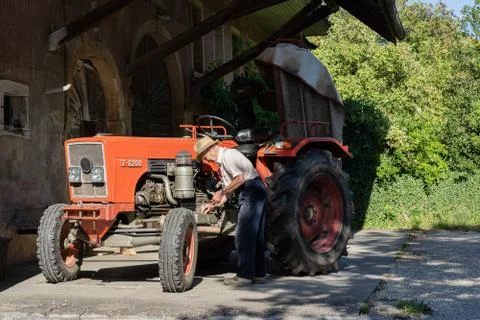 Old farmer working on red tractor under roof of farmer house in sunshine. Stock Photos