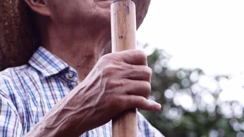 Old farmers in a straw hat held a hoe and facing the sky, waiting for rain. Video stock 153250313