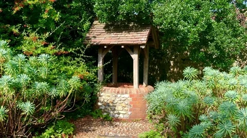 Old fashioned brick wishing well in idyllic garden amongst foliage and plants Stock Footage 343664880