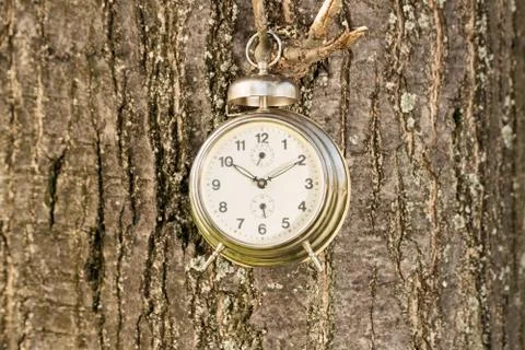 Old fashioned clock hanged on a tree Stock Photos