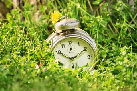 Old fashioned clock on a meadow Stock Photos