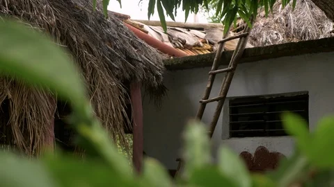 Old Fashioned Cuban House or Hut Stock Footage 87213784