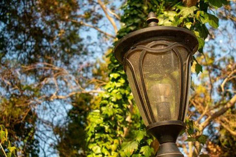 An Old Fashioned Light Post With a Tree Behind It Stock Photos