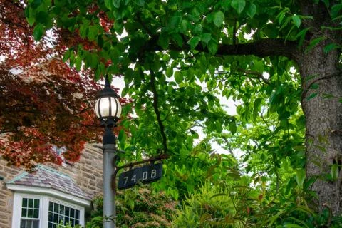 An Old Fashioned Light Post Turned on Surrounded By Trees and Foliage Stock Photos
